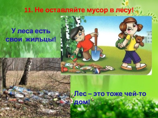 Табличка не мусорить в лесу