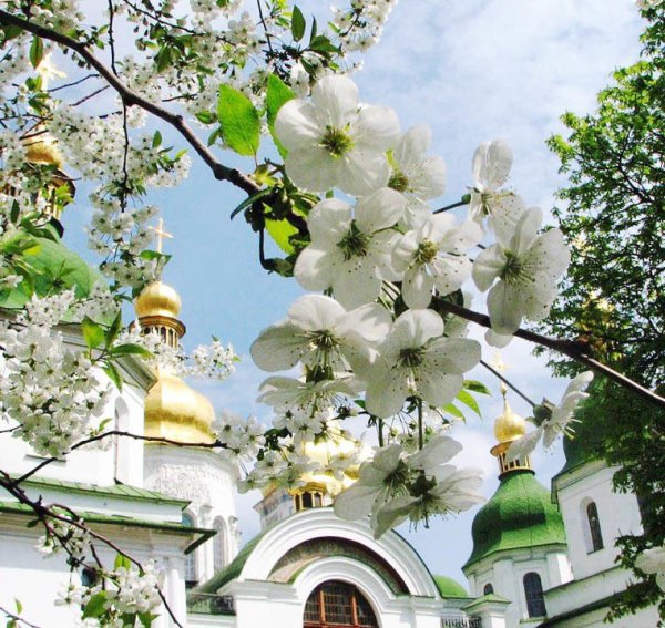Храм на рассвете