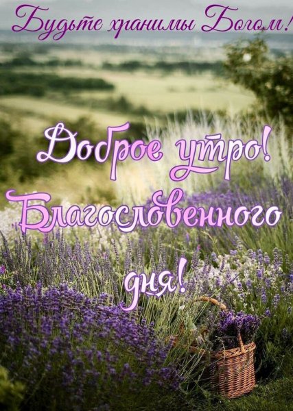 Природа России яркое солнце