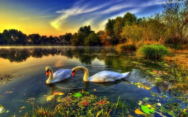 Красивые поздравления с добрым утром природа