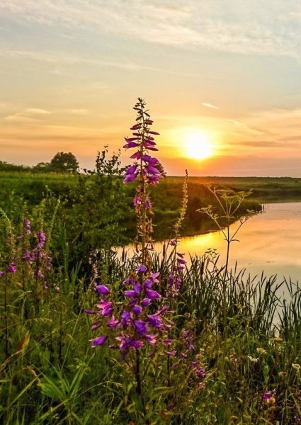 Доброе утро природа с надписью