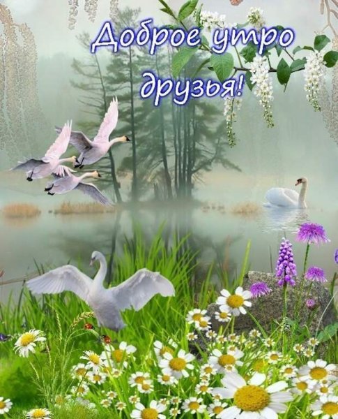 Доброго зимнего утра и отличного здоровья