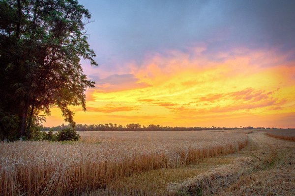 Пейзажи Краснодарского края Кубани