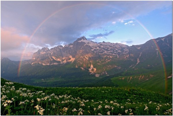 Кубанская природа
