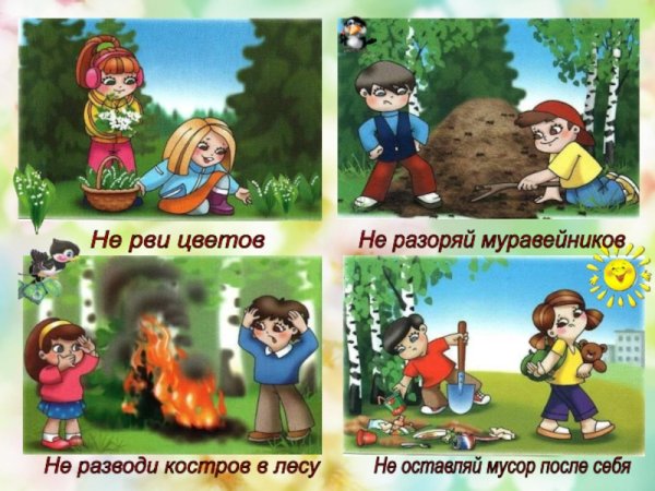 Правила поведения в лесу