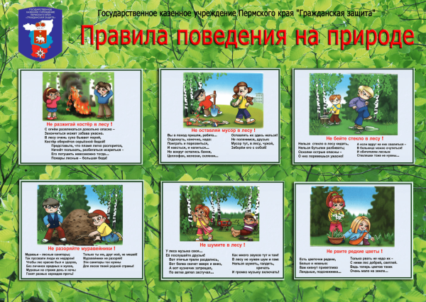 Правила поведения на природе