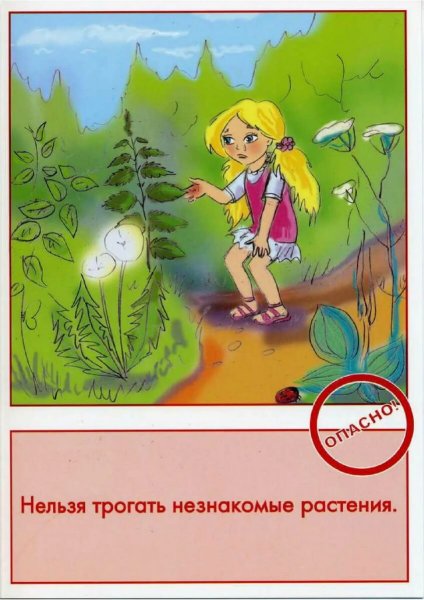 Безопасное проведение на природе