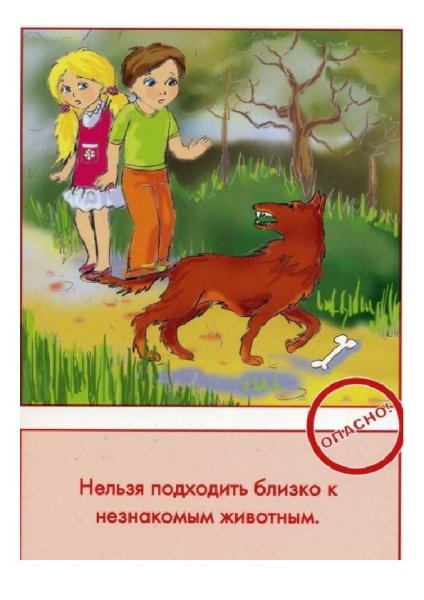 Безопасное поведение на природе