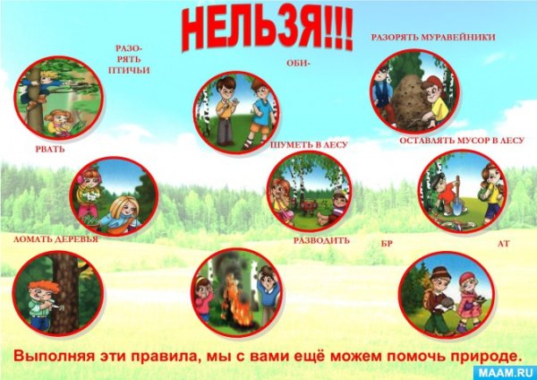 Правила безопасного поведения в лесу для дошкольников