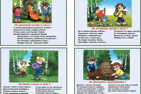 Правила безопасного поведения в лесу для дошкольников