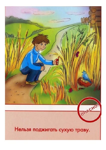 Безопасное поведение на природе
