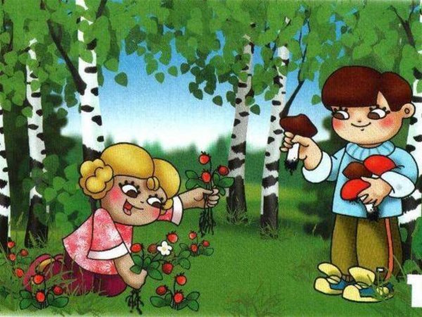 Поведение в лесу