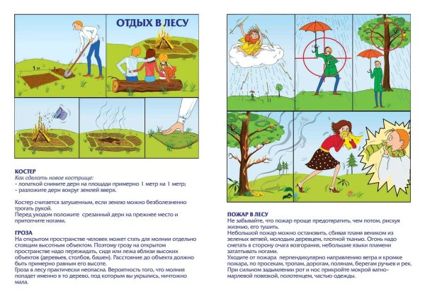 Безопасное поведение на природе