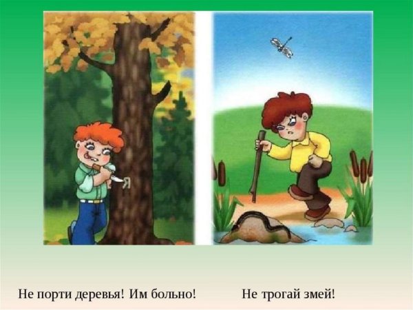 Неправильное поведение в лесу