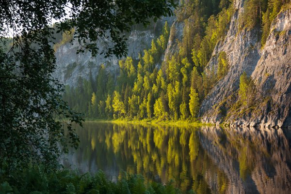 Урал река лес