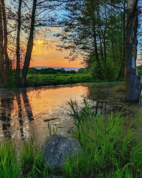 Белорусская природа