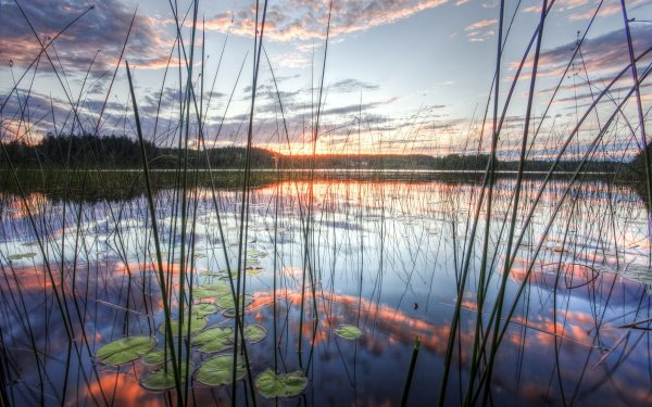 Отражение солнца в воде