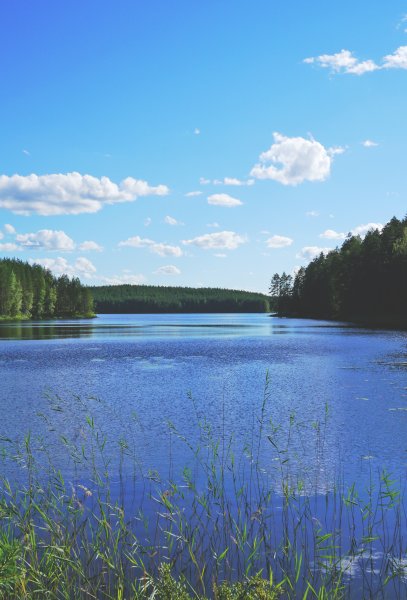 Берег озера