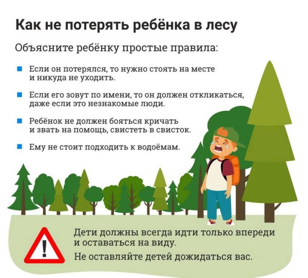 Памятка заблудившемуся в лесу
