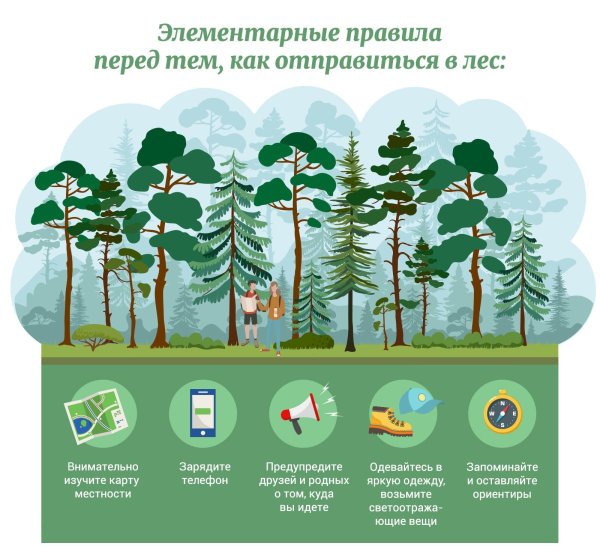 Правила поведения в лесу