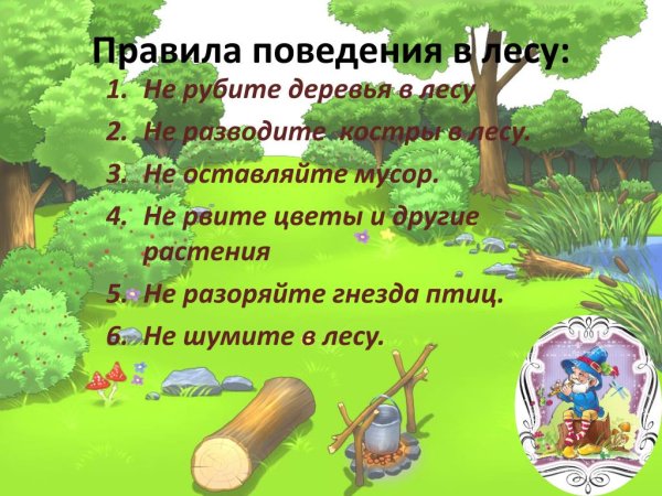 Дерево правил поведения в лесу