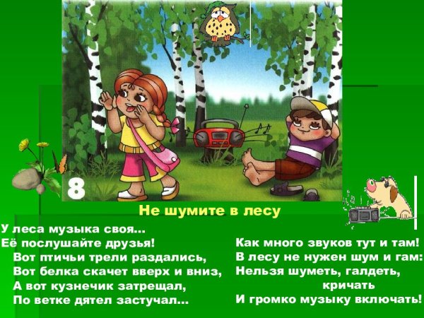 Правило поведение в лесу стихами