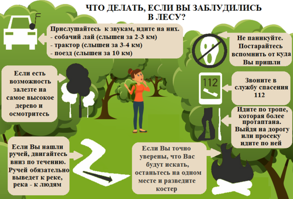 Памятка если заблудился в лесу