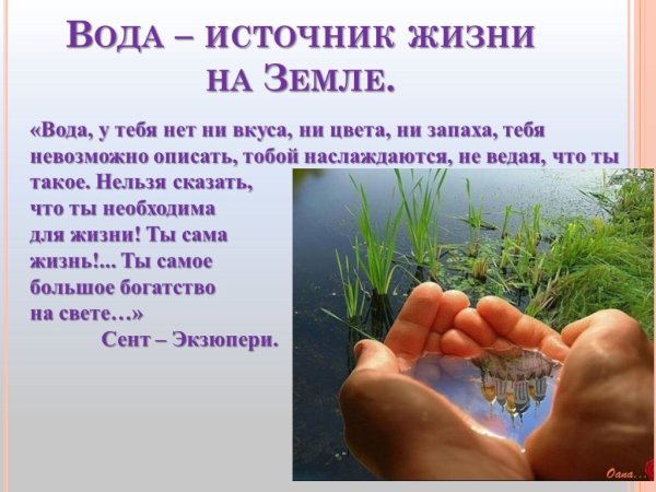 Вода источник жизни