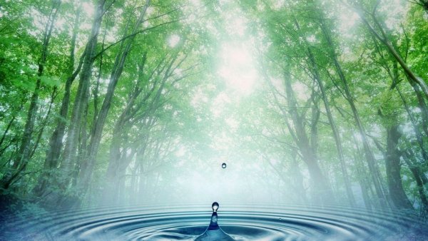 Вода источник жизни