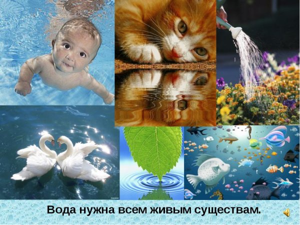 Вода в природе для детей