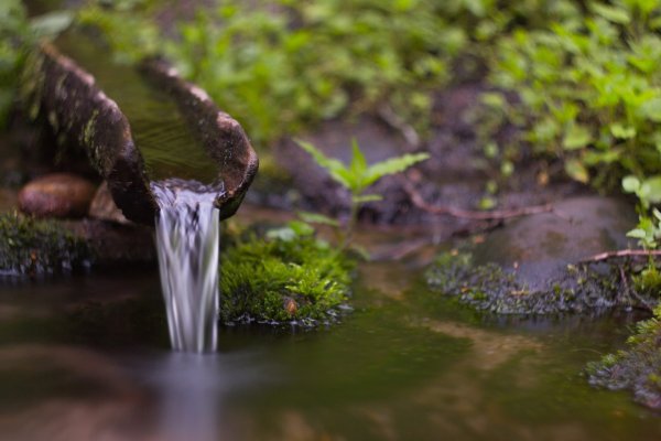 Вода это жизнь