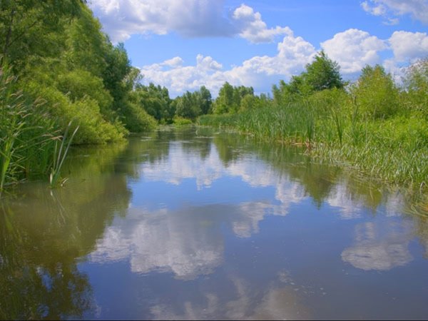 Вода источник жизни на земле