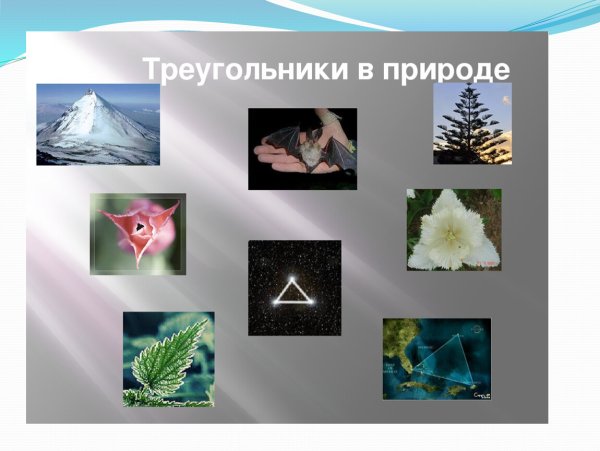Треугольное в природе