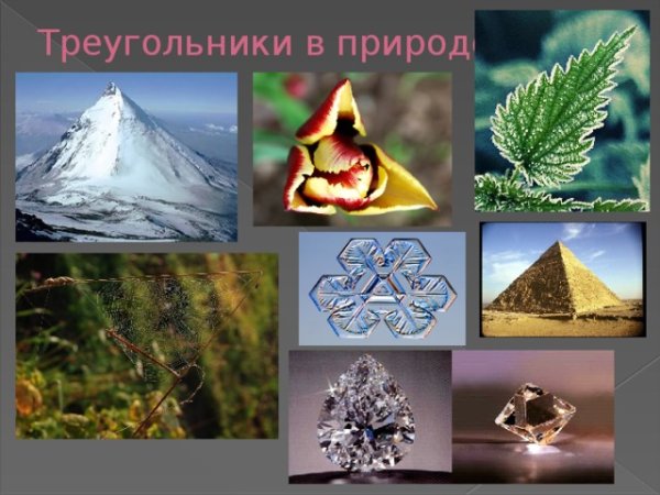 Треугольники в природе