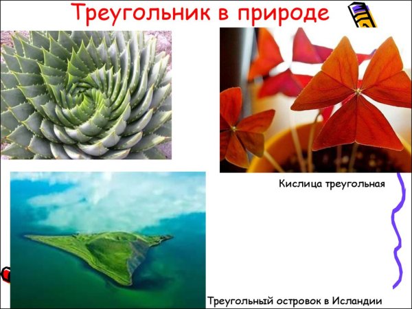 Треугольники в природе