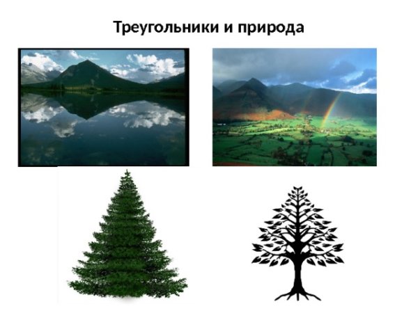 Треугольники в природе