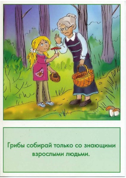 ПРАВИЛАПОВЕДЕНИЕ В лесу