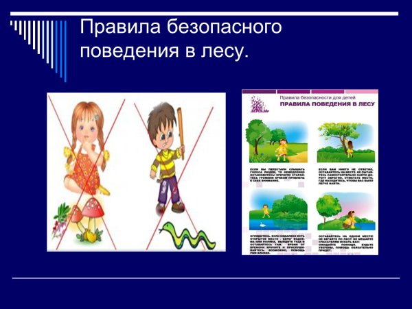 Безопасность на природе для детей