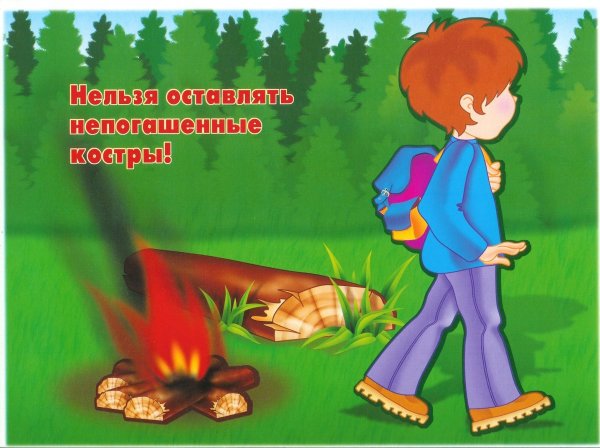 Правила безопасного поведения в лесу для дошкольников