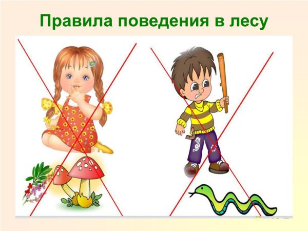 Безопасность детей в летний период