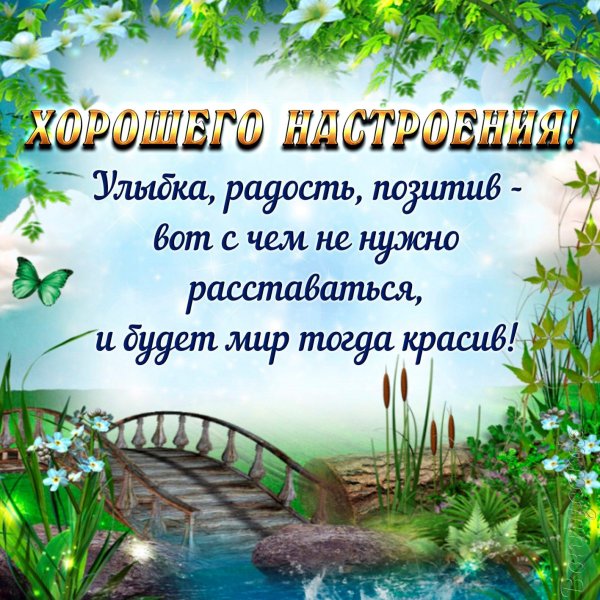 Чай в горах