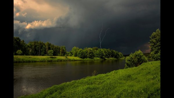 Природа после дождя