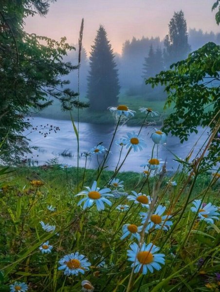 Доброе утро хорошего дня природа
