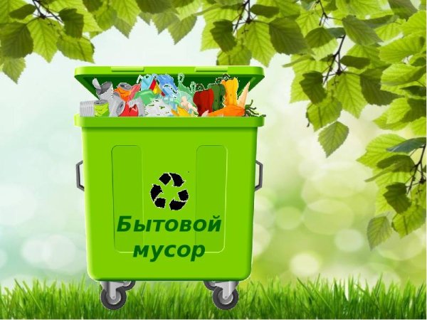 Экологический проект мы дружим с природой