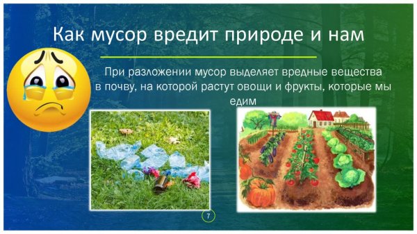 Куда выбрасывать мусор
