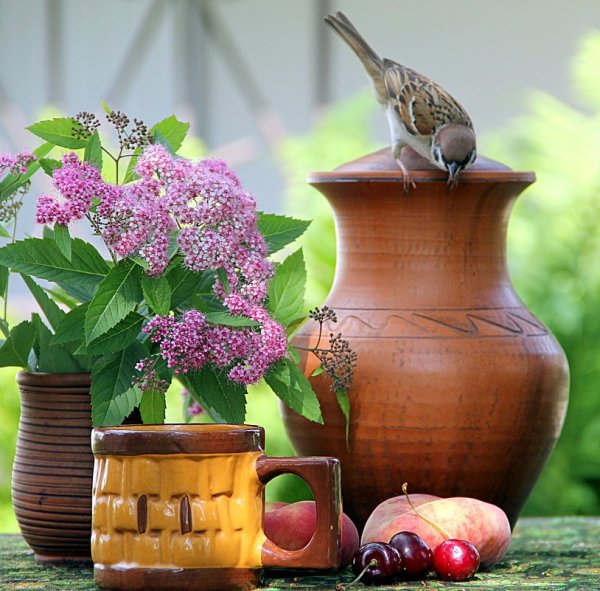 Доброе летнее утро четверга