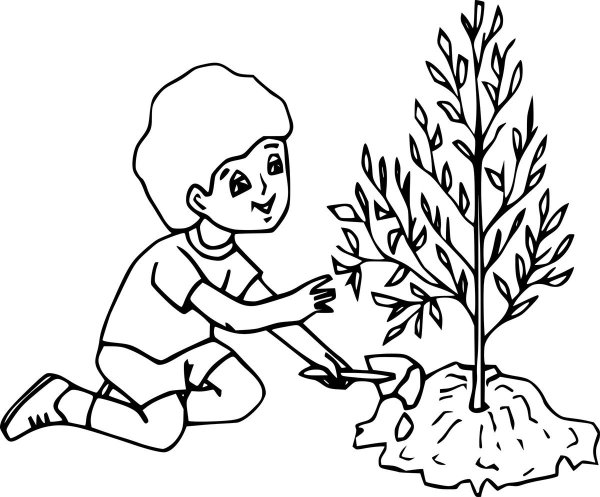 Знаки защиты природы раскраска