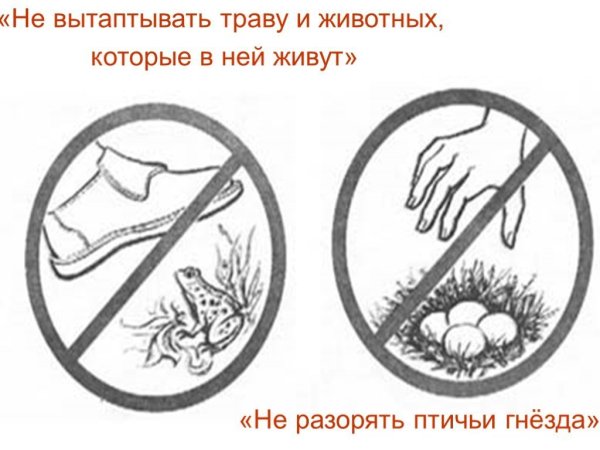 Раскраски по экологии для дошкольников