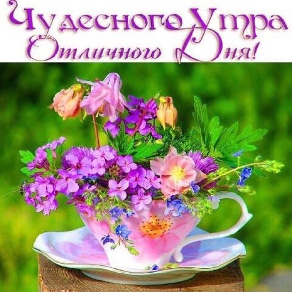Доброго утра и хорошеготнастроения