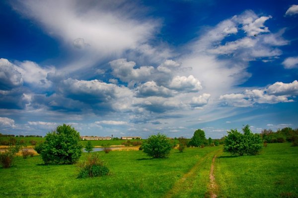 Деревенская природа